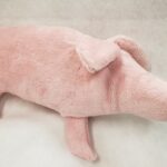 Pat's Piglet