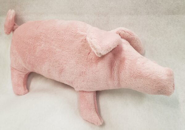 Pat's Piglet